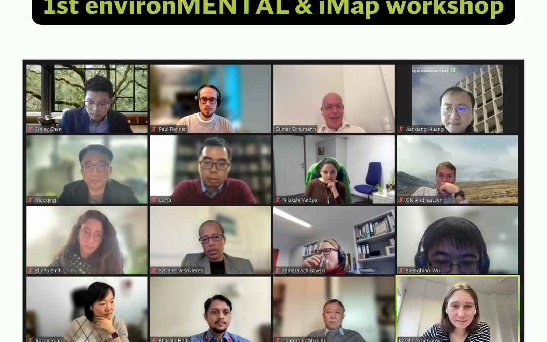 WP2: 1st environMENTAL x iMap Workshop