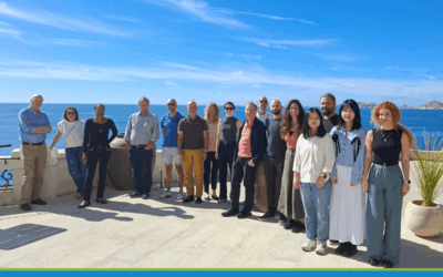 environMENTAL Steering Committee Meeting