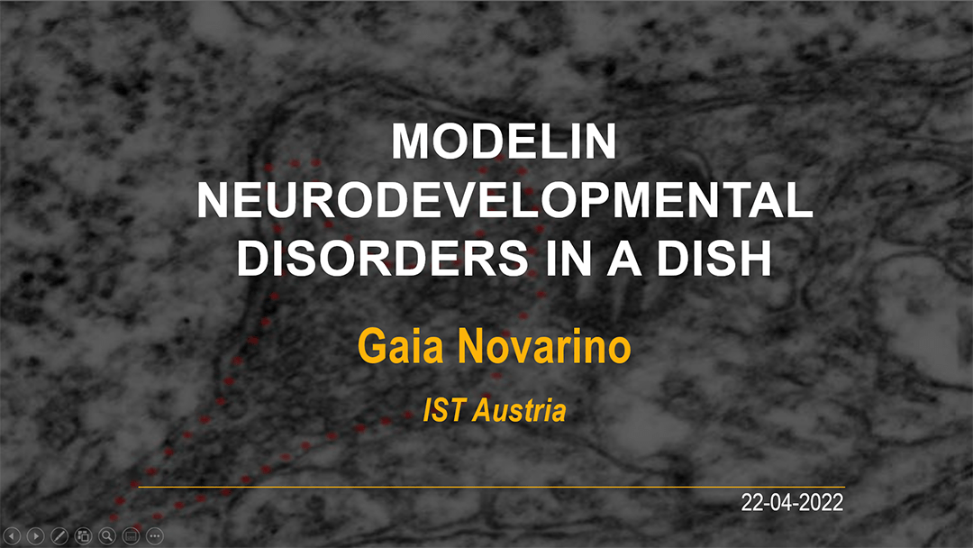 Neurodevelpment disorders from molecular meachnisms to novel treatments