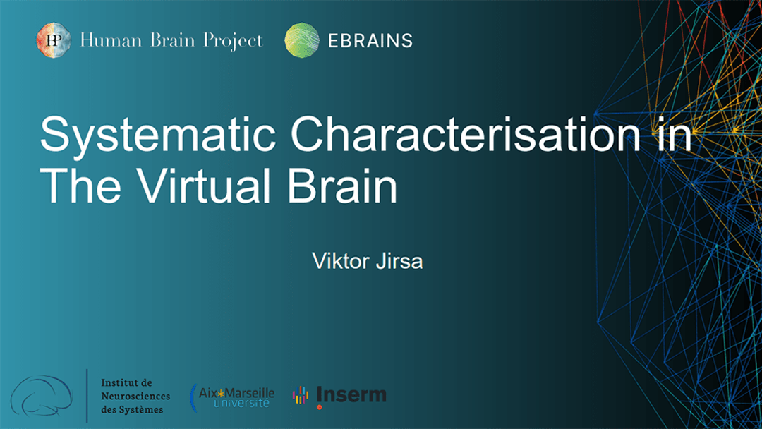 Systematic Characterisation in The Virtual Brain